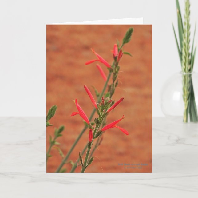 Helle Rote Wüste Wildblumen Hummingbird Bush Karte (Vorderseite)