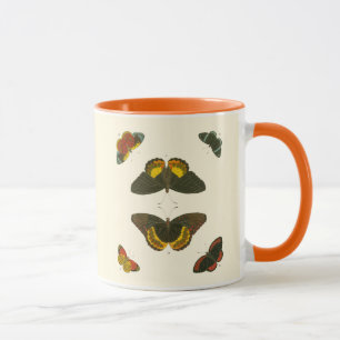 Helle Schmetterlinge durch Pieter Cramer Tasse