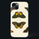 Helle Schmetterlinge von Pieter Cramer title_seo2<br><div class="desc">Diese hellen Schmetterlinge sind sehr farbenfroh in ihrer Darstellung. Ein phantastisches Stück von Pieter Cramer,  es wäre ein hervorragendes Geschenk für den Naturliebhaber in Ihrem Leben!</div>