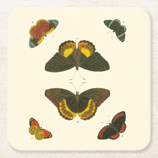 Helle Schmetterlinge von Pieter Cramer Rechteckiger Pappuntersetzer (Vorderseite)