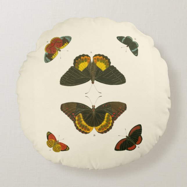 Helle Schmetterlinge von Pieter Cramer Rundes Kissen (Vorderseite)