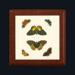 Helle Schmetterlinge von Pieter Cramer Schmuckschachtel<br><div class="desc">Diese hellen Schmetterlinge sind sehr farbenfroh in ihrer Darstellung. Ein phantastisches Stück von Pieter Cramer,  es wäre ein hervorragendes Geschenk für den Naturliebhaber in Ihrem Leben!</div>