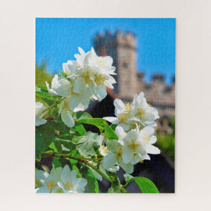 Helle Sommerblüten in London - 16x20 - 520 pc