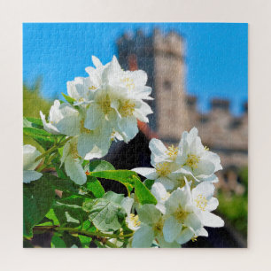 Helle Sommerblüten in London - 20x20 - 676 pc