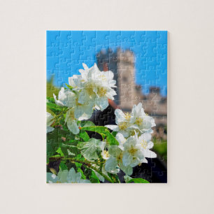 Helle Sommerblüten in London - 8x10 - 110 pc