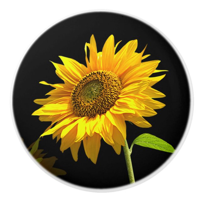 Helle Sonnenblume auf schwarzem Hintergrund Keramikknauf (Vorderseite)
