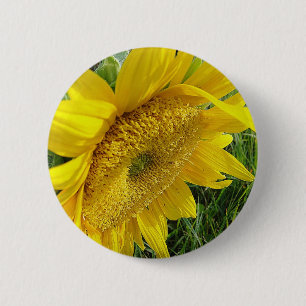 Helle Sonnenblume Button