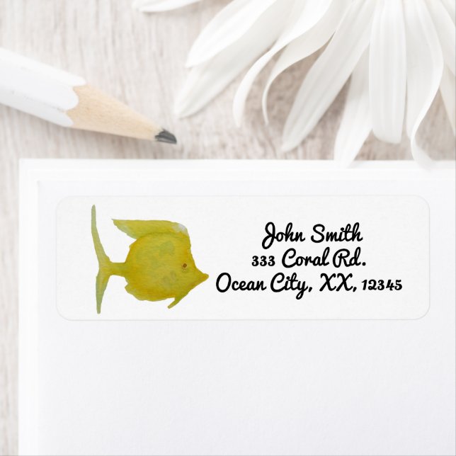 Helle tropische Gelbfische (Insitu)