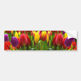Helle Tulips Autoaufkleber