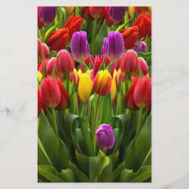 Helle Tulips Briefpapier