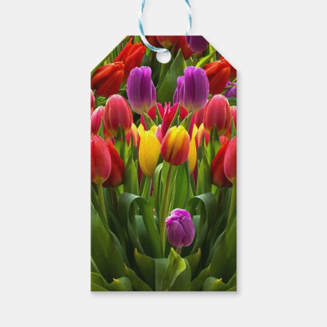 Helle Tulips Geschenkanhänger (Vorderseite)
