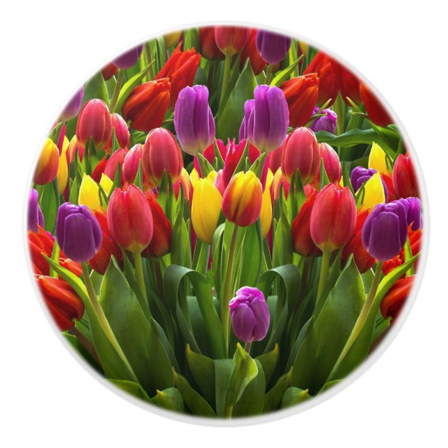 Helle Tulips Keramikknauf (Vorderseite)