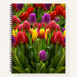 Helle Tulips Notizbuch