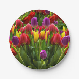 Helle Tulips Pappteller