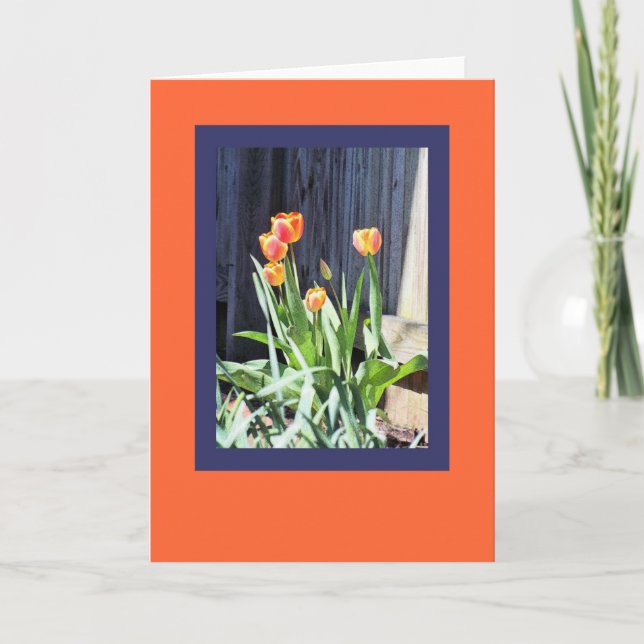 Helle Tulpen-Grußkarte Karte (Vorderseite)