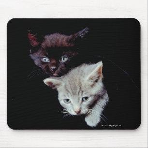 Helle und dunkle Kätzchen Mousepad
