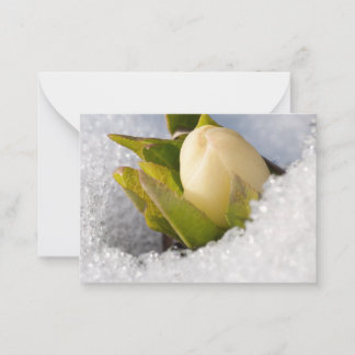 Hellebore, die durch den Schnee wachsen, Mitteilungskarte