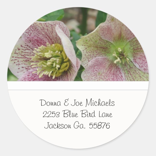 Hellebores Fleurs Adresse Stickers (Devant)