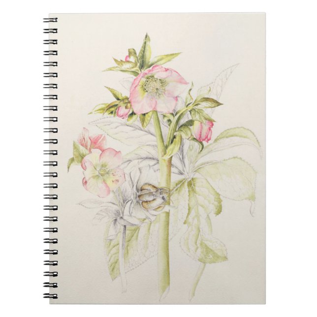 Hellebores Notizblock (Vorderseite)