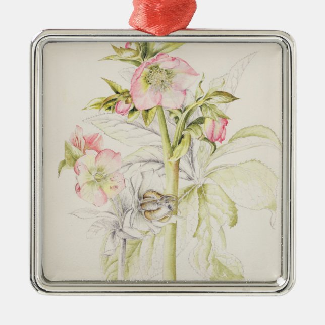 Hellebores Ornament Aus Metall (Vorne)