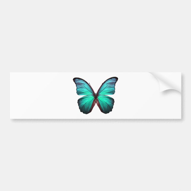 Heller aquamariner Schmetterling Autoaufkleber (Vorne)