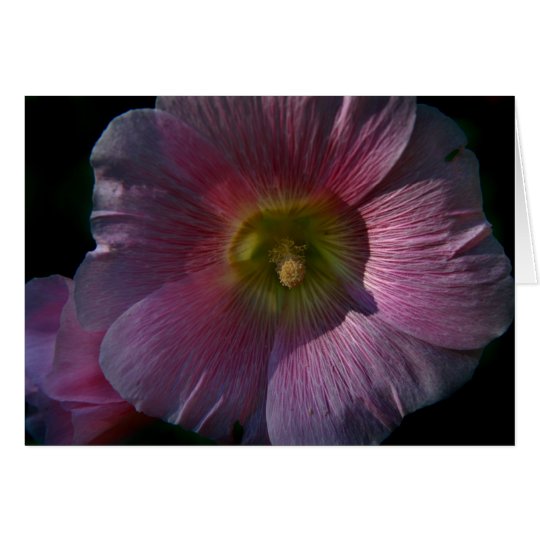 Heller Hollyhock Karte