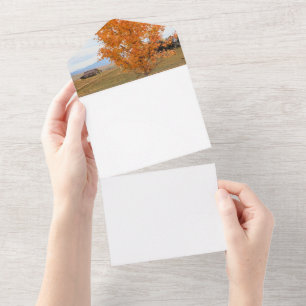 Heller Oktober  All In One Einladung