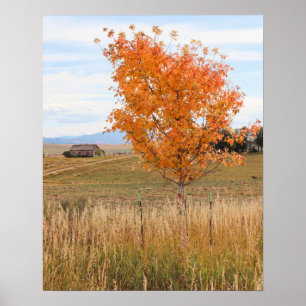 Heller Oktober  Poster
