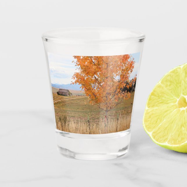 Heller Oktober  Schnapsglas (Vorderseite)