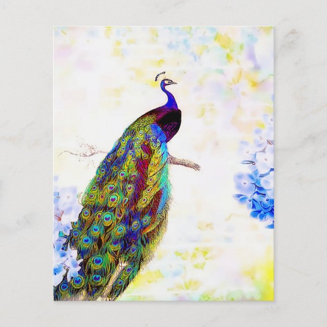 Heller Pfau (Vorderseite)