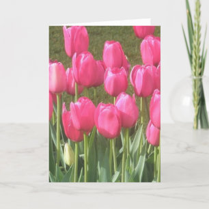 Heller Rosa Tulpen Garten Karte