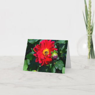 Heller roter Dahlie-Wein farbige Karte