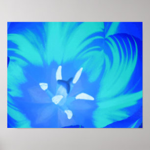 Helles blaues Tulpenposter Poster