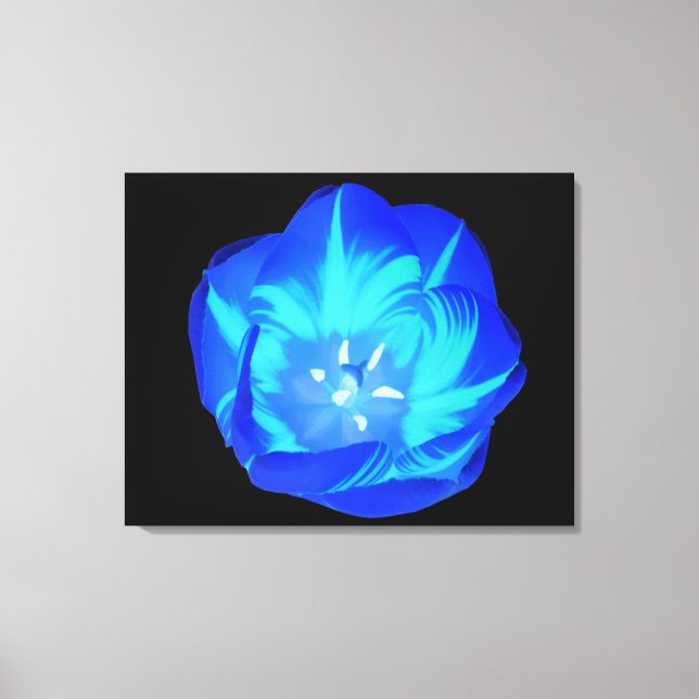 Helles Blue Tulip Canvas Print Leinwanddruck (Vorderseite)