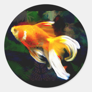 Helles Golden Koi im Dunklen Fischteich Runder Aufkleber