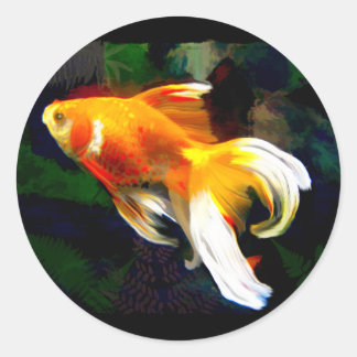 Helles Golden Koi im Dunklen Fischteich Runder Aufkleber