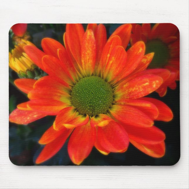 Helles Orange mit Raindrops-Maus-Pad Mousepad (Vorne)