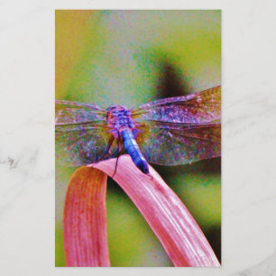 Helles Regenbogen Rosa Libelle Briefpapier