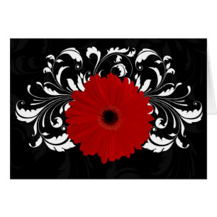 Helles rotes Gerbera-Gänseblümchen auf Schwarzem