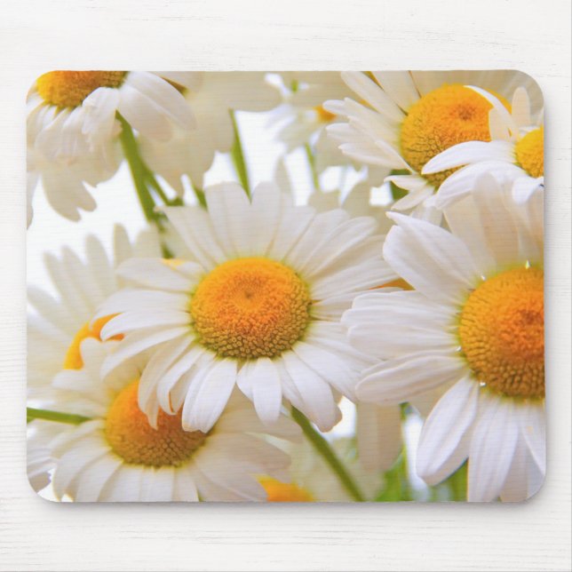Helles Summer Daisies Blume Foto Mousepad (Vorne)