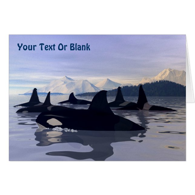 Helles Wasser Orca (Vorderseite (Horizontal))