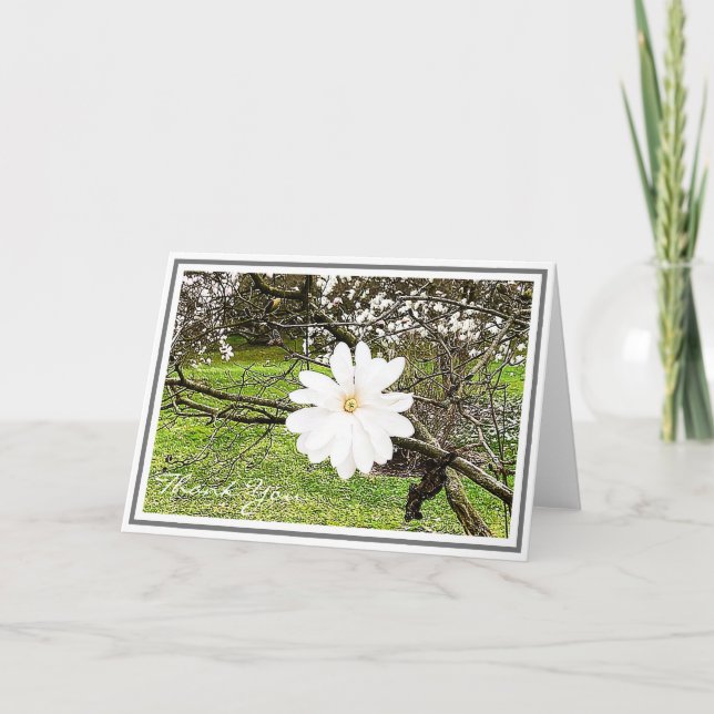 Helles White Star Magnolia gegen Foliage Karte (Vorderseite)