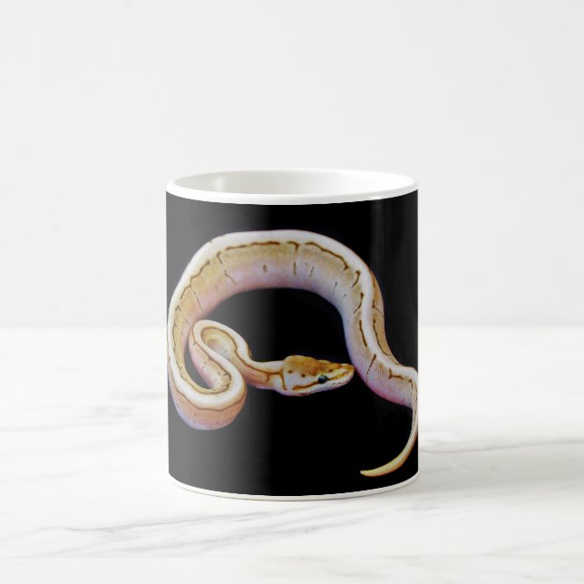 Hellfarbige Ball-Pythonschlange Kaffeetasse (Mittel)