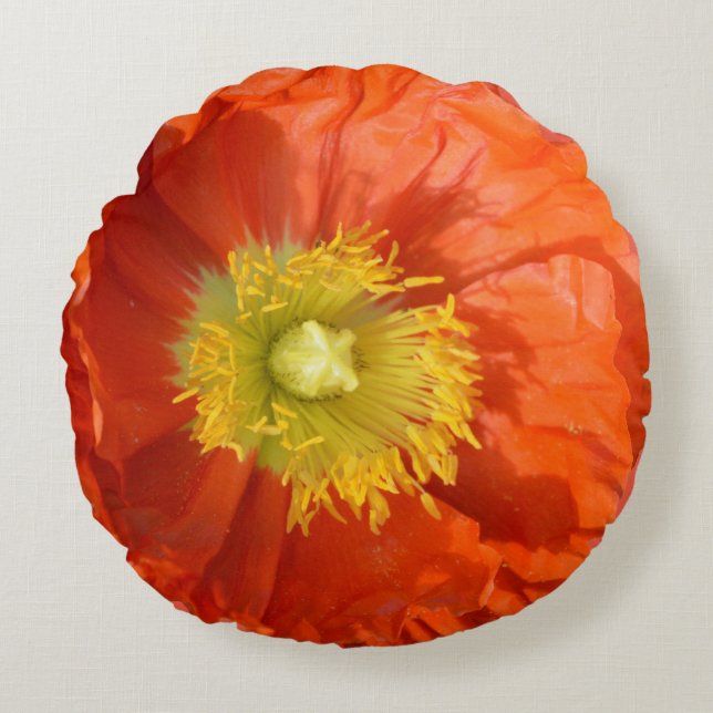Hellfarbige Orange Mandarine Mohnblume Blume Rundes Kissen (Vorderseite)