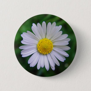 Hellgelb-weiß Button