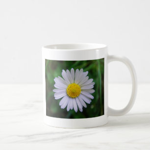 Hellgelb-weiß Kaffeetasse