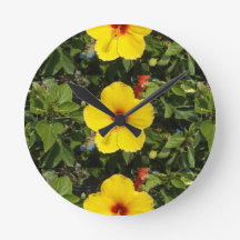 Hellgelbe Blume Springtime