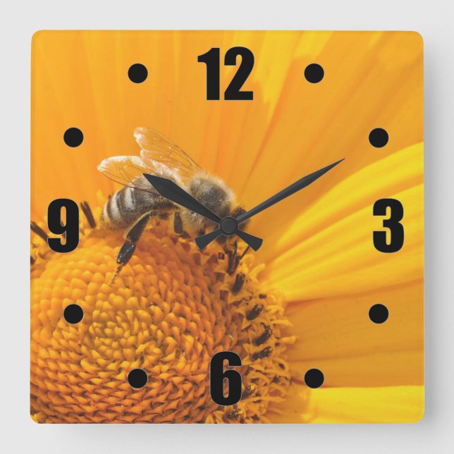 Hellgelbe Blume und Honigbiene Quadratische Wanduhr (Vorderseite)