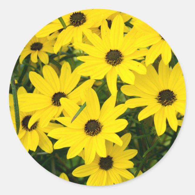 Hellgelbe Blumen Runder Aufkleber (Vorderseite)
