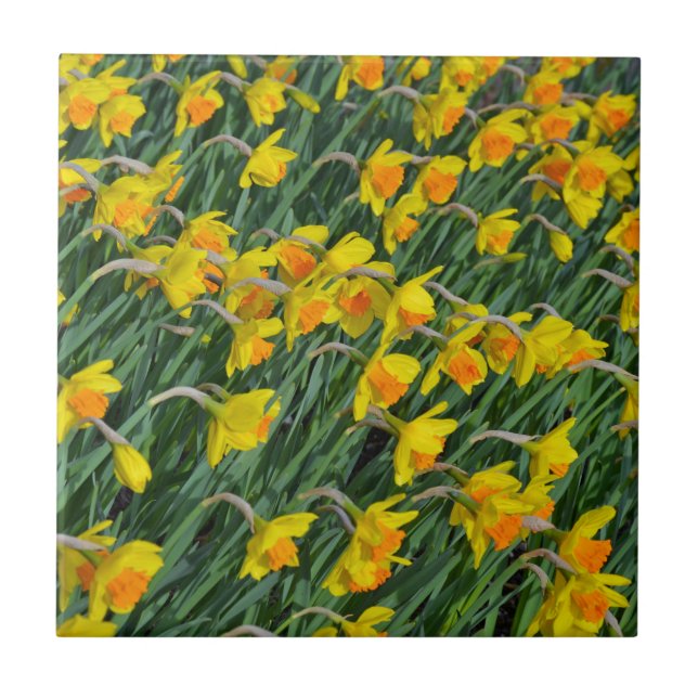 Hellgelbe Frühlingsgarten Fliese (Vorderseite)